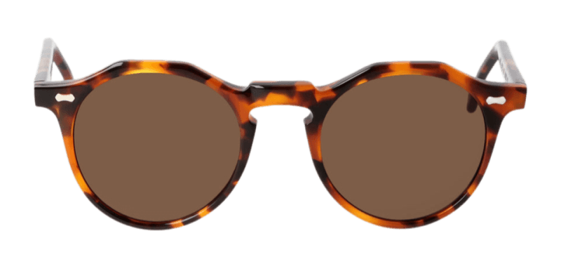 Unisex sunčane naočale TBD EYEWEAR LAPEL: havana okvir, smeđa  stakla